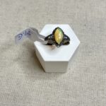 Ring for Sandy